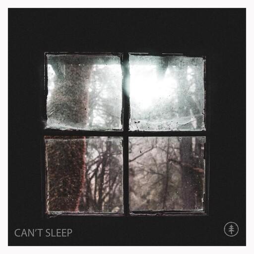 Cover of CAN'T SLEEP