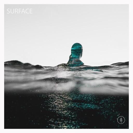 Cover of SURFACE