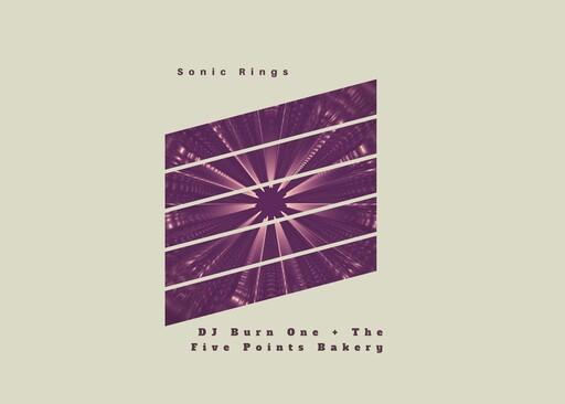 Cover of Sonic Rings