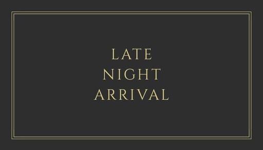 Cover of Late Night Arrival