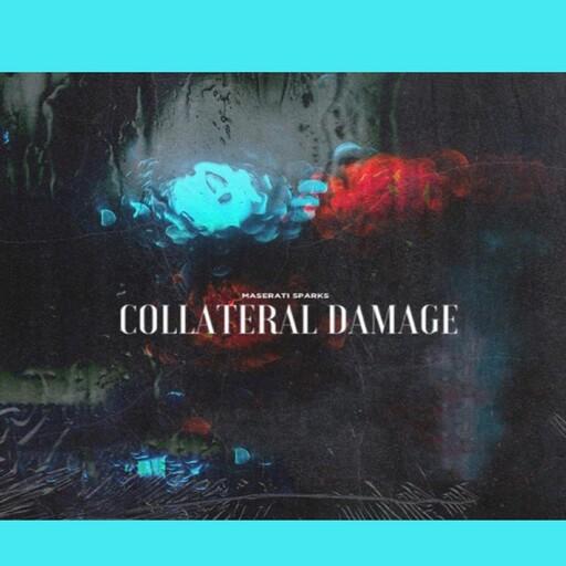 Cover of Collateral Damage Loop Kit